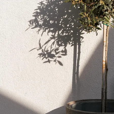 Εξοχικό σπίτι Mylopetra Σάρτη